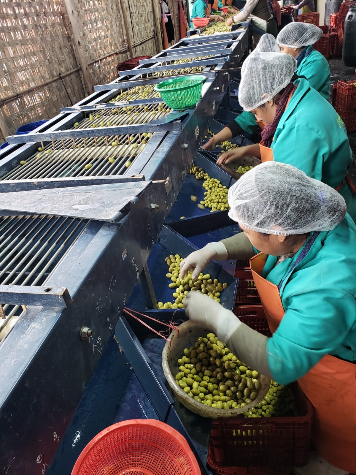 Unsplashed background img 3